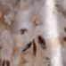 Color swatch - TAUPE