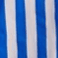Color swatch - BLUE