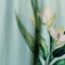 Color swatch - MINT/GREEN