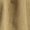Color swatch - OLIVE