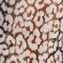 Color swatch - TAUPE