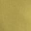 LIGHT OLIVE