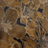 Color swatch - BROWN